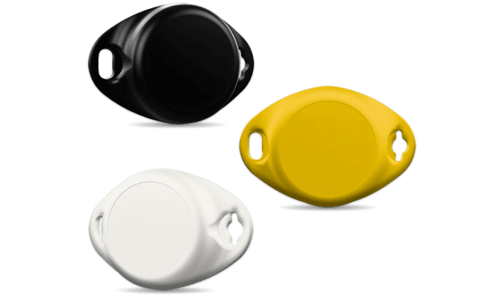 insight-app-screenshot