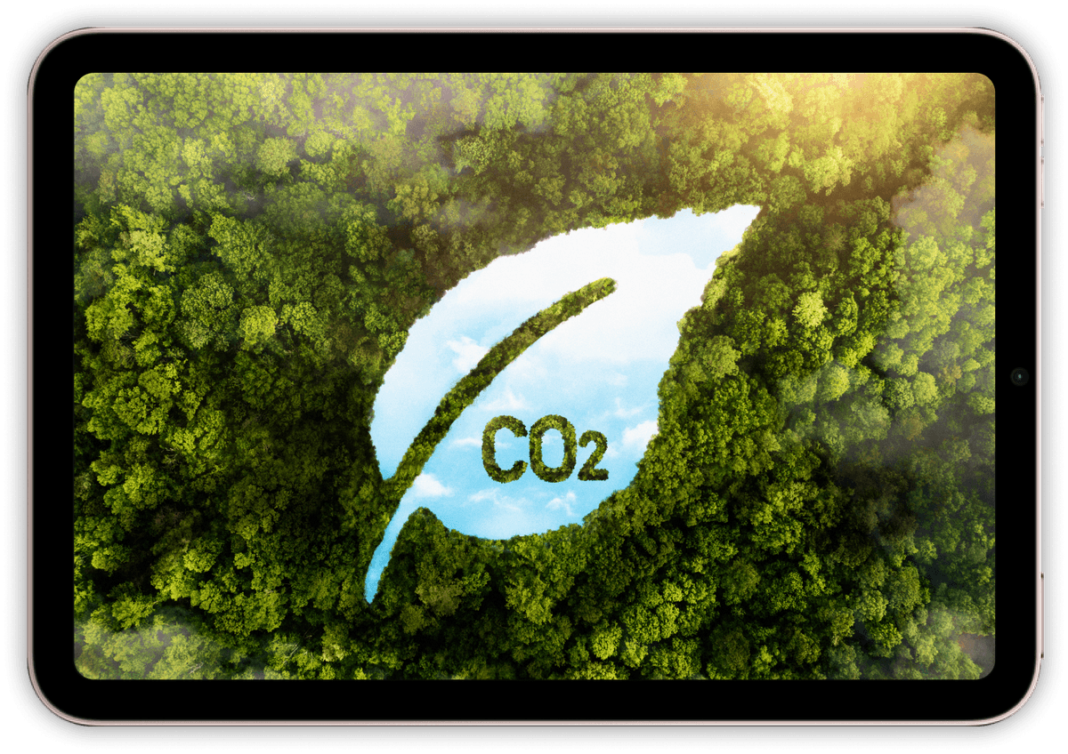 insight-app-screenshot